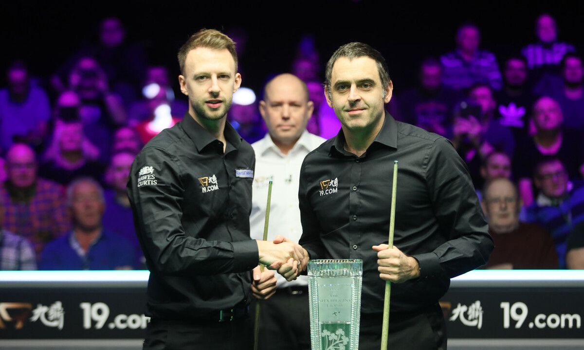 它们并非孤 它们并非孤